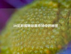 500足彩揭秘彩票市场中的秘密