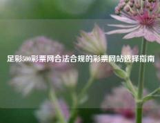 足彩500彩票网合法合规的彩票网站选择指南