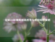 足彩310彩票揭秘高胜率与低风险的策略