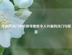 足彩吧冷门中奖探寻那些令人兴奋的冷门与惊喜
