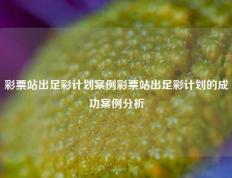 彩票站出足彩计划案例彩票站出足彩计划的成功案例分析