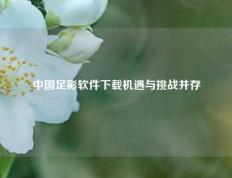 中国足彩软件下载机遇与挑战并存