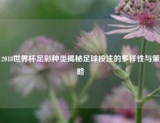 2018世界杯足彩种类揭秘足球投注的多样性与策略