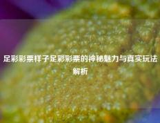 足彩彩票样子足彩彩票的神秘魅力与真实玩法解析