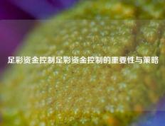 足彩资金控制足彩资金控制的重要性与策略