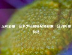 足彩彩票一注多少钱揭秘足彩彩票一注的神秘价格