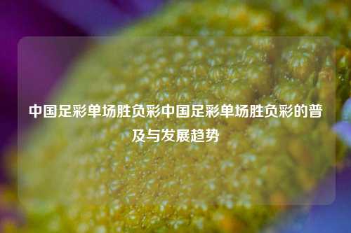 中国足彩单场胜负彩中国足彩单场胜负彩的普及与发展趋势