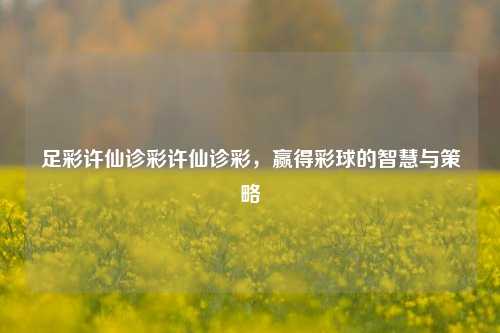 足彩许仙诊彩许仙诊彩，赢得彩球的智慧与策略