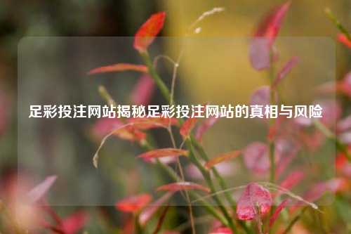 足彩投注网站揭秘足彩投注网站的真相与风险