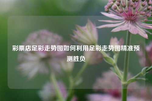 彩票店足彩走势图如何利用足彩走势图精准预测胜负