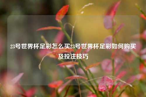 23号世界杯足彩怎么买23号世界杯足彩如何购买及投注技巧