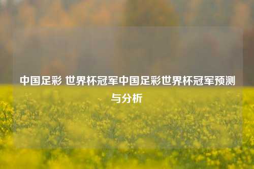 中国足彩 世界杯冠军中国足彩世界杯冠军预测与分析