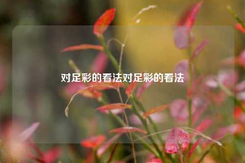 对足彩的看法对足彩的看法