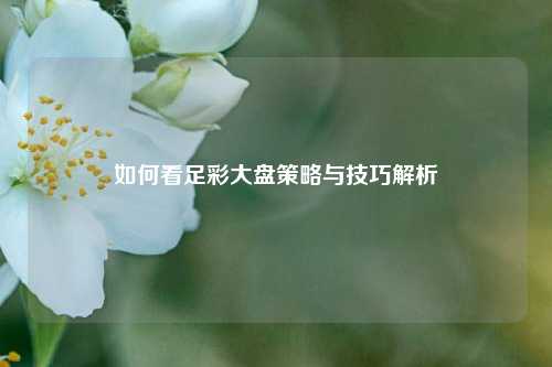 如何看足彩大盘策略与技巧解析