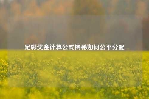 足彩奖金计算公式揭秘如何公平分配