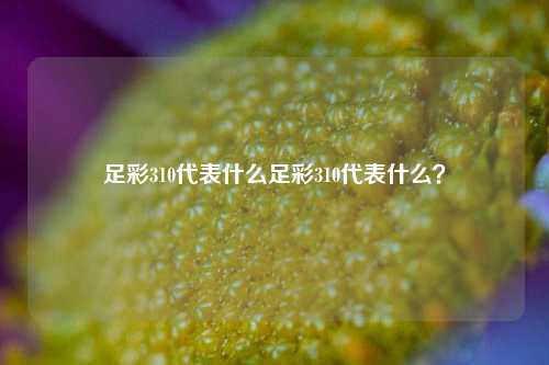 足彩310代表什么足彩310代表什么？