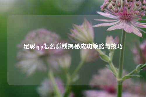 足彩app怎么赚钱揭秘成功策略与技巧