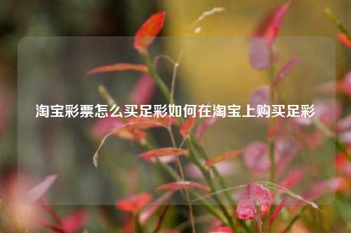 淘宝彩票怎么买足彩如何在淘宝上购买足彩