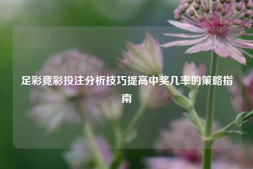 足彩竞彩投注分析技巧提高中奖几率的策略指南