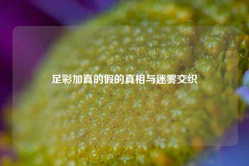 足彩加真的假的真相与迷雾交织