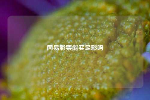 网易彩票能买足彩吗