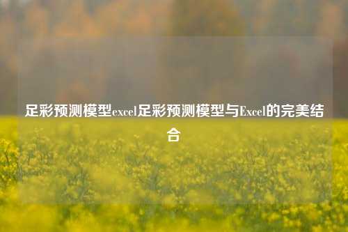 足彩预测模型excel足彩预测模型与Excel的完美结合