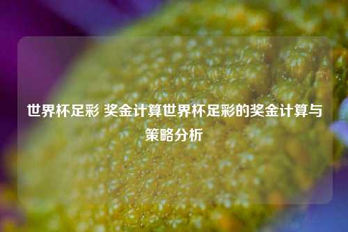 世界杯足彩 奖金计算世界杯足彩的奖金计算与策略分析