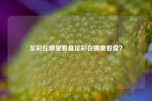 足彩在哪里看盘足彩在哪里看盘？