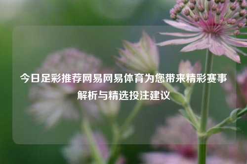 今日足彩推荐网易网易体育为您带来精彩赛事解析与精选投注建议