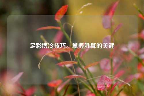 足彩博冷技巧。掌握胜算的关键