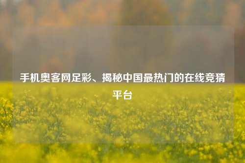 手机奥客网足彩、揭秘中国最热门的在线竞猜平台