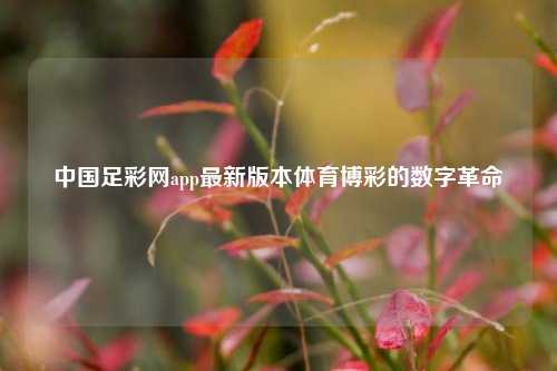 中国足彩网app最新版本体育博彩的数字革命