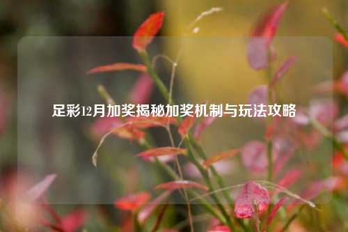 足彩12月加奖揭秘加奖机制与玩法攻略