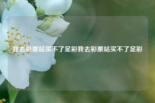 我去彩票站买不了足彩我去彩票站买不了足彩