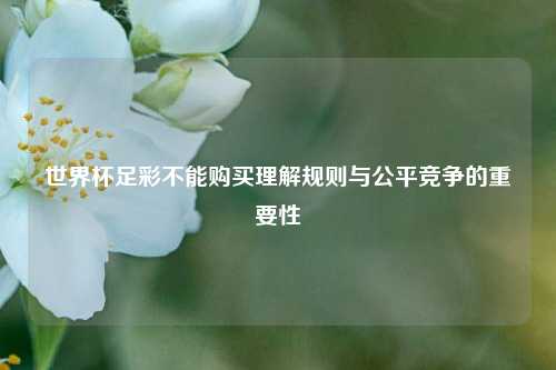 世界杯足彩不能购买理解规则与公平竞争的重要性
