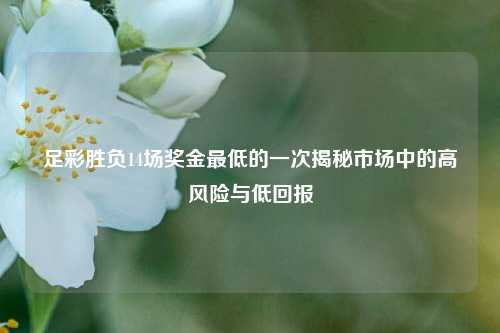 足彩胜负14场奖金最低的一次揭秘市场中的高风险与低回报
