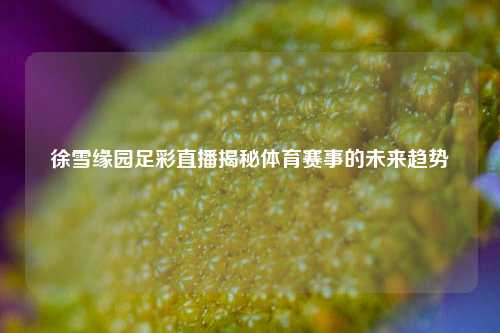 徐雪缘园足彩直播揭秘体育赛事的未来趋势