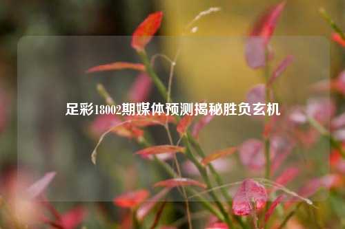足彩18002期媒体预测揭秘胜负玄机