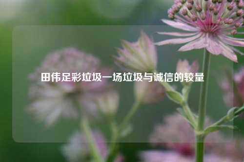 田伟足彩垃圾一场垃圾与诚信的较量