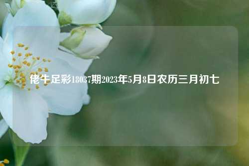 佬牛足彩18037期2023年5月8日农历三月初七