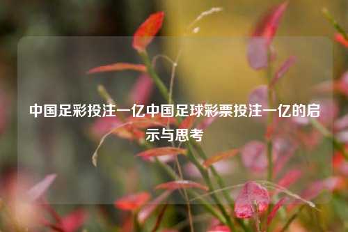 中国足彩投注一亿中国足球彩票投注一亿的启示与思考