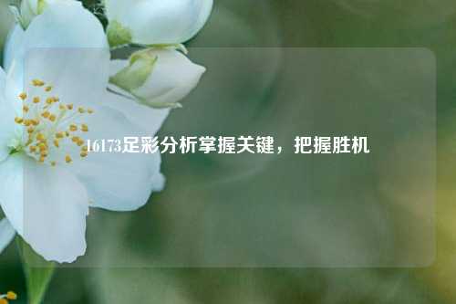 16173足彩分析掌握关键，把握胜机