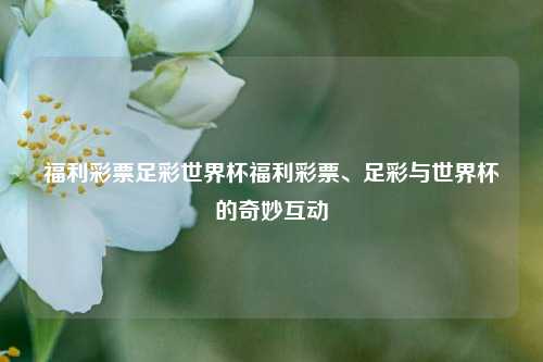 福利彩票足彩世界杯福利彩票、足彩与世界杯的奇妙互动