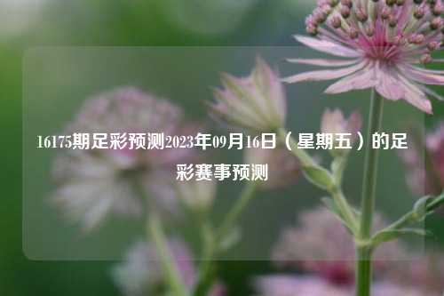 16175期足彩预测2023年09月16日（星期五）的足彩赛事预测