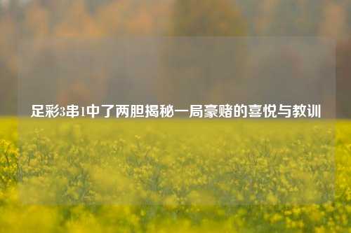 足彩3串1中了两胆揭秘一局豪赌的喜悦与教训