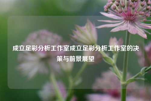 成立足彩分析工作室成立足彩分析工作室的决策与前景展望