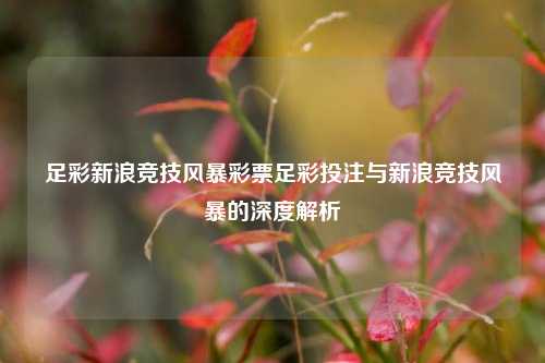 足彩新浪竞技风暴彩票足彩投注与新浪竞技风暴的深度解析