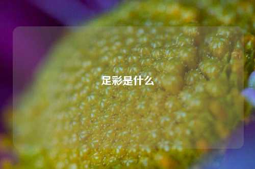 足彩是什么