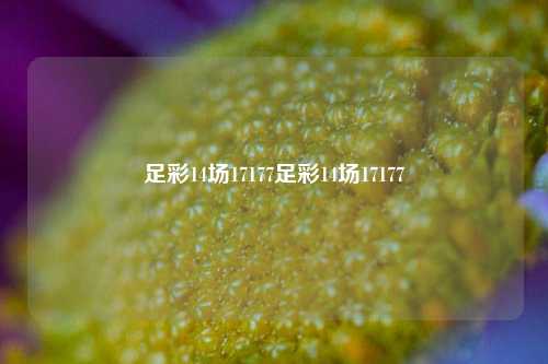 足彩14场17177足彩14场17177