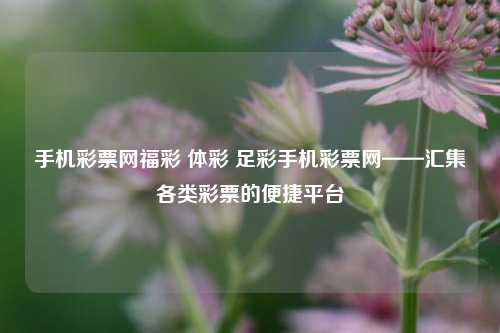 手机彩票网福彩 体彩 足彩手机彩票网——汇集各类彩票的便捷平台